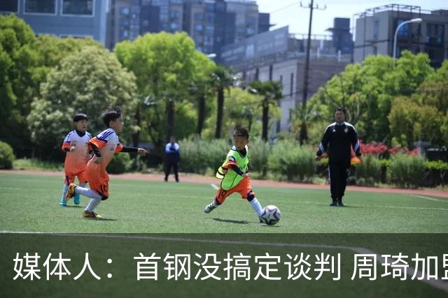 媒体人：首钢没搞定谈判 周琦加盟可能要黄